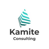 Kamite Consulting logo - Similar company to Afrikki