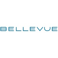 BELLEVUE Investments GmbH & Co. KGaA logo - Similar company to Bold & Epic