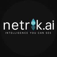 netrik.ai logo - Similar company to Miruni