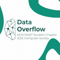 Data Overflow logo - Similar company to Shopy Science