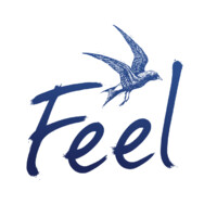 Feel Festival logo - Similar company to Tote Sonne Gmbh