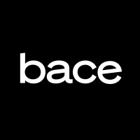 bace logo - Similar company to The Arc