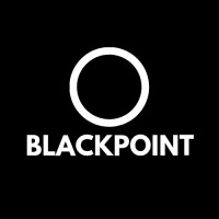 Blackpoint logo - Similar company to Blackpoint
