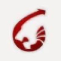 Paragon International Wealth Management logo - Similar company to Maves International Software