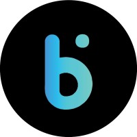 Brainye logo - Similar company to Oribi (Acquired By Linkedin)