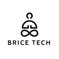 Brice Tech logo - Similar company to Brace Tech