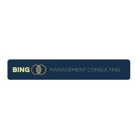 BING Management Consulting logo - Similar company to Invisible Systems