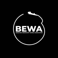 BEWA (Bariatric Endoscopy World Association) logo - Similar company to Ircad India