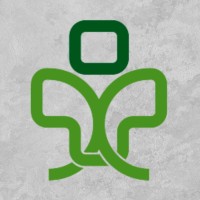STEM Consultoria - Saúde e Segurança do Trabalho logo - Similar company to Dtmseg Saúde E Segurança No Trabalho