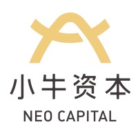 Neo Capital logo - Similar company to Neo Capital