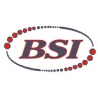 Boiler Services & Inspection, LLC logo - Similar company to Servco Boiler Sales & Service