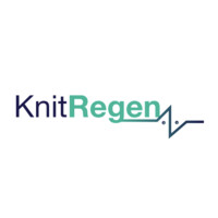 KnitRegen logo - Similar company to Concept Analyst Limited