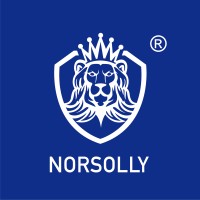 NORSOLLY logo - Similar company to Ebs Medical