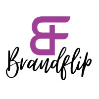 Brandflip Digital Marketing logo - Similar company to Adsrock Ltd. Hungary