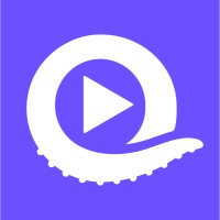 Vloggi logo - Similar company to Sinorbis