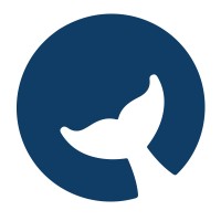 Profundum logo - Similar company to Adraco Solutions