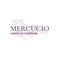 Agence Mercucio logo - Similar company to Akómi Studio
