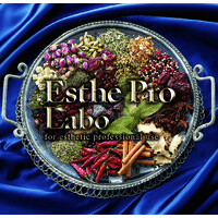Pro Labo Holdings Co.,Ltd.　(株式会社プロラボ ホールディングス) logo - Similar company to Feme