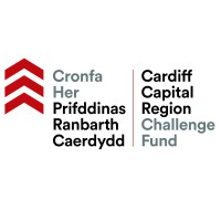 Cardiff Capital Region Challenge Fund logo - Similar company to Ccr Energy