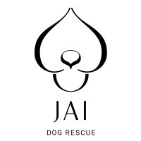 Jai Dog Rescue logo - Similar company to Travel Dude Gmbh
