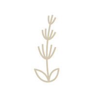 Souboz Distillerie logo - Similar company to Rey On Fire