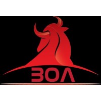 BOA Ayakkabı logo - Similar company to Blufenix