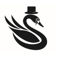 Swaggy Swan Travel logo - Similar company to V Star Pr