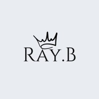 RAY.B logo - Similar company to Hitech Network Pvt. Ltd.