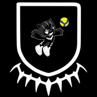 Volleyball Wakanda logo - Similar company to Academia De Futebol Real Brasil