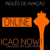 ICAO NOW! logo - Similar company to Campaign For Learning