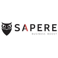 SAPERE Business Boost logo - Similar company to Santin Consulting