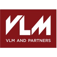 VLM and Partners logo - Similar company to Danorama