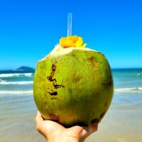 Vegan Travel Brazil logo - Similar company to Storytelling With Anu