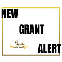 DREAM MAKERS SOCIETY logo - Similar company to Dream Makers