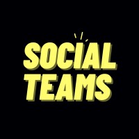 Social Teams logo - Similar company to Leosoft Ltd
