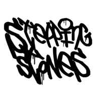 Stepping Stones Of The Roaring Fork Valley