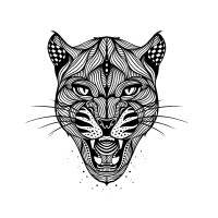 Klovis Calvados logo - Similar company to Link4U