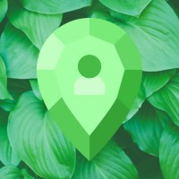 Local Treasures logo - Similar company to Jade
