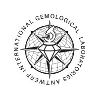 AIG Worldwide logo - Similar company to Sun King Diamonds