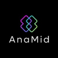 AnaMid - Associação Nacional do Mercado e Indústria Digital logo - Similar company to Effect E-Commerce