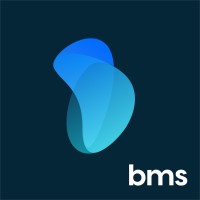 Bayanaka Mercury Services logo - Similar company to Bayanaka