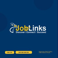 Job Links - Ethiopia logo - Similar company to Algonix Technologies