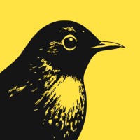 bïrch (ex Revealbot) logo - Similar company to Scalify