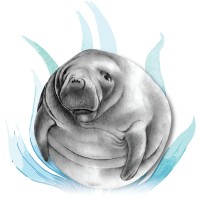 Manatee Technology logo - Similar company to Martek Industries