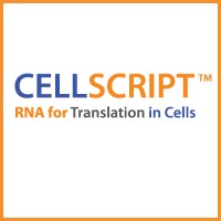 CELLSCRIPT logo - Similar company to Wisconsin Institute For Immune And Cell Therapy, Inc (Wiict)