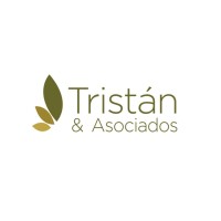 Tristán y Asociados logo - Similar company to Divix