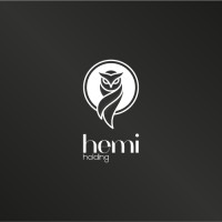 HemiHolding logo - Similar company to Aylol Store