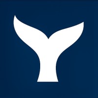 White Whaling logo - Similar company to Digimozo Eservices Llp