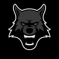 Wolfpack United logo - Similar company to Nanonots