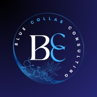 Blue Collar Consulting logo - Similar company to Alexander Cpa